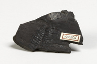 F 01024
<br/>
<br/>
<em></em>